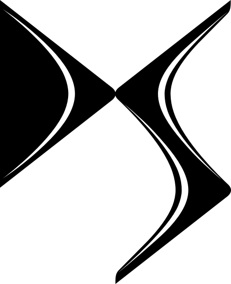 DS Logo