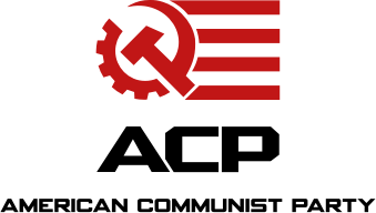Vector Logo